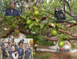 ORKY desteinde retilen eriklerin hasad yapld